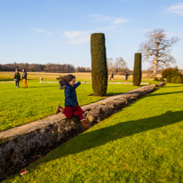 Mottisfont Abbey - 21 January 2017 / Alana jumping like mad