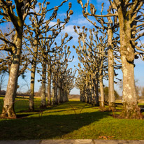 Mottisfont Abbey - 21 January 2017 / Mottisfornt