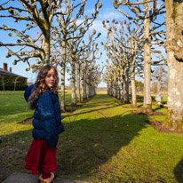 Mottisfont Abbey - 21 January 2017 / Princess Alana