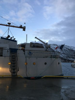 Tromsoe - 28 January 2017 / Tromso