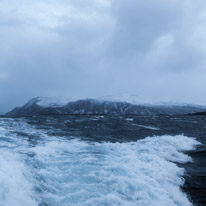 Tromsoe - 30 January 2017 / Sea trip