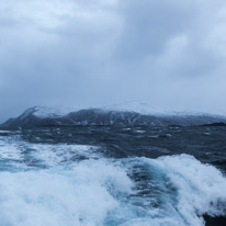 Tromsoe - 30 January 2017 / Sea trip