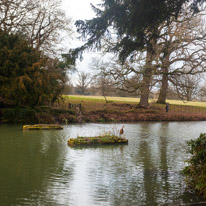 The Vyne - 05 February 2017 / The River
