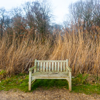 The Vyne - 05 February 2017 / Lonely bench