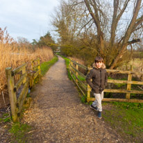 The Vyne - 05 February 2017 / oscar