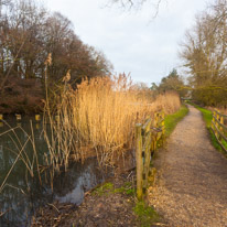 The Vyne - 05 February 2017 / Path