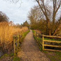 The Vyne - 05 February 2017 / Path