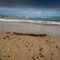 Christchurch - 04 March 2017 / Wood on the beach