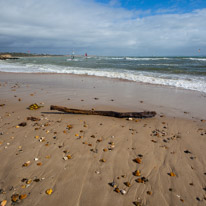 Christchurch - 04 March 2017 / Wood on the beach