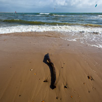 Christchurch - 04 March 2017 / Wood on the beach