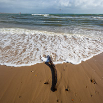 Christchurch - 04 March 2017 / Wood on the beach