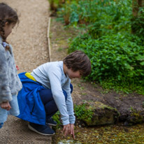 Mottisfont Abbey - 16 April 2017 / Oscar playing by the river