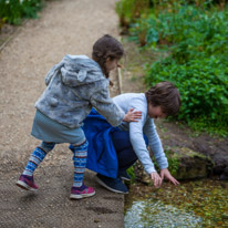 Mottisfont Abbey - 16 April 2017 / This is the picture just before he ended up his feet on the water... top!