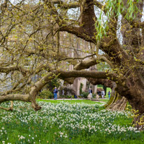 Mottisfont Abbey - 16 April 2017 / Mottisfont, beautiful place