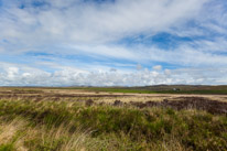 Islay - 19 May 2017 / Islay