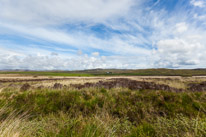 Islay - 19 May 2017 / Islay