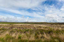 Islay - 20 May 2017 / Islay