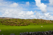 Islay - 20 May 2017 / Islay