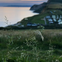 Bridport - 24-26 June 2017 / The jurassic coast