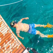 Varko - 21 August 2017 / Oscar swimming around the boat