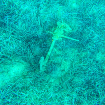 Meganisi - 26 August 2017 / Amazing anchor found by Pip... a real one in the water....