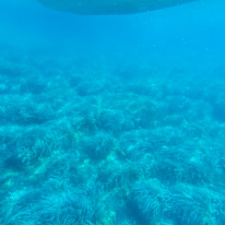 Kerkira - 01 September 2017 / Boat trip on the east coast of Corfu