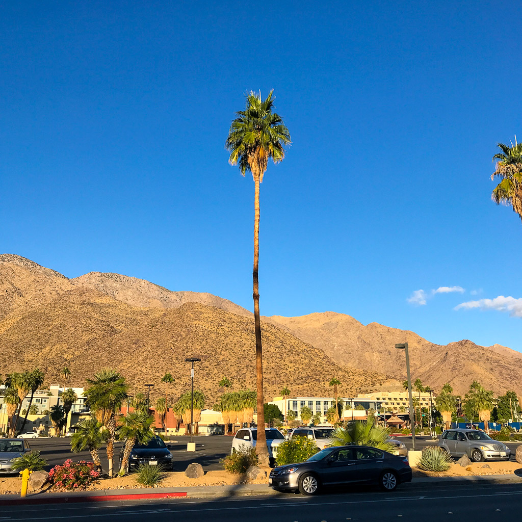 Palm Springs