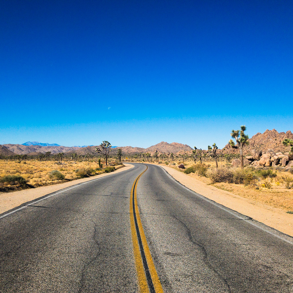 Joshua Tree National Park