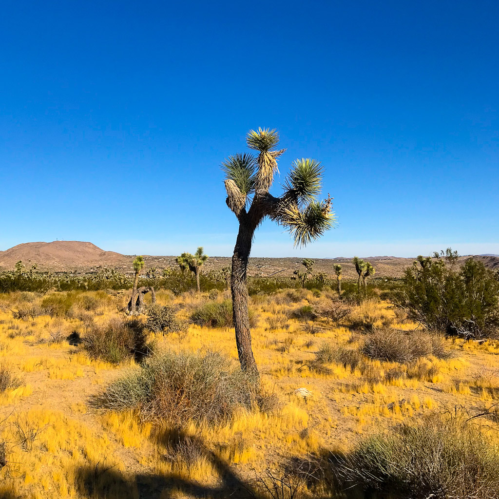 Around Palm Springs