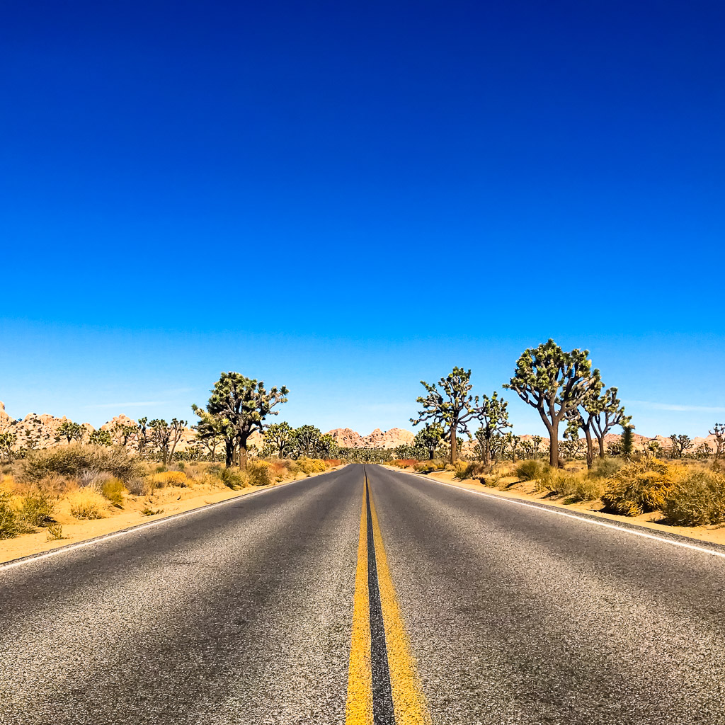 Joshua Tree National Park