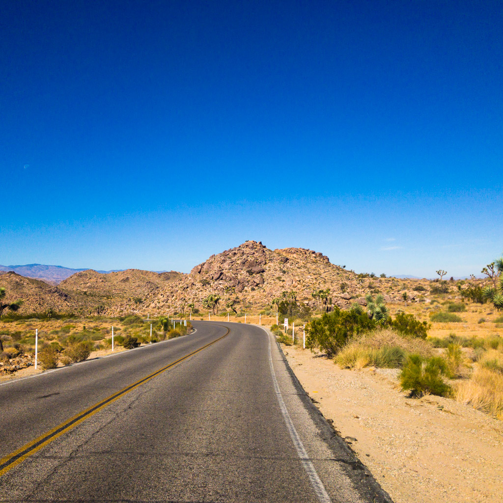 Joshua Tree National Park