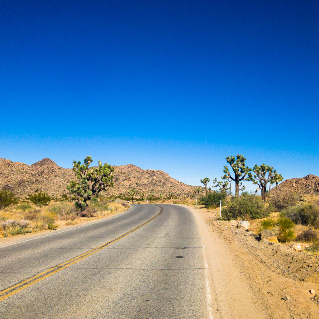 Joshua Tree National Park