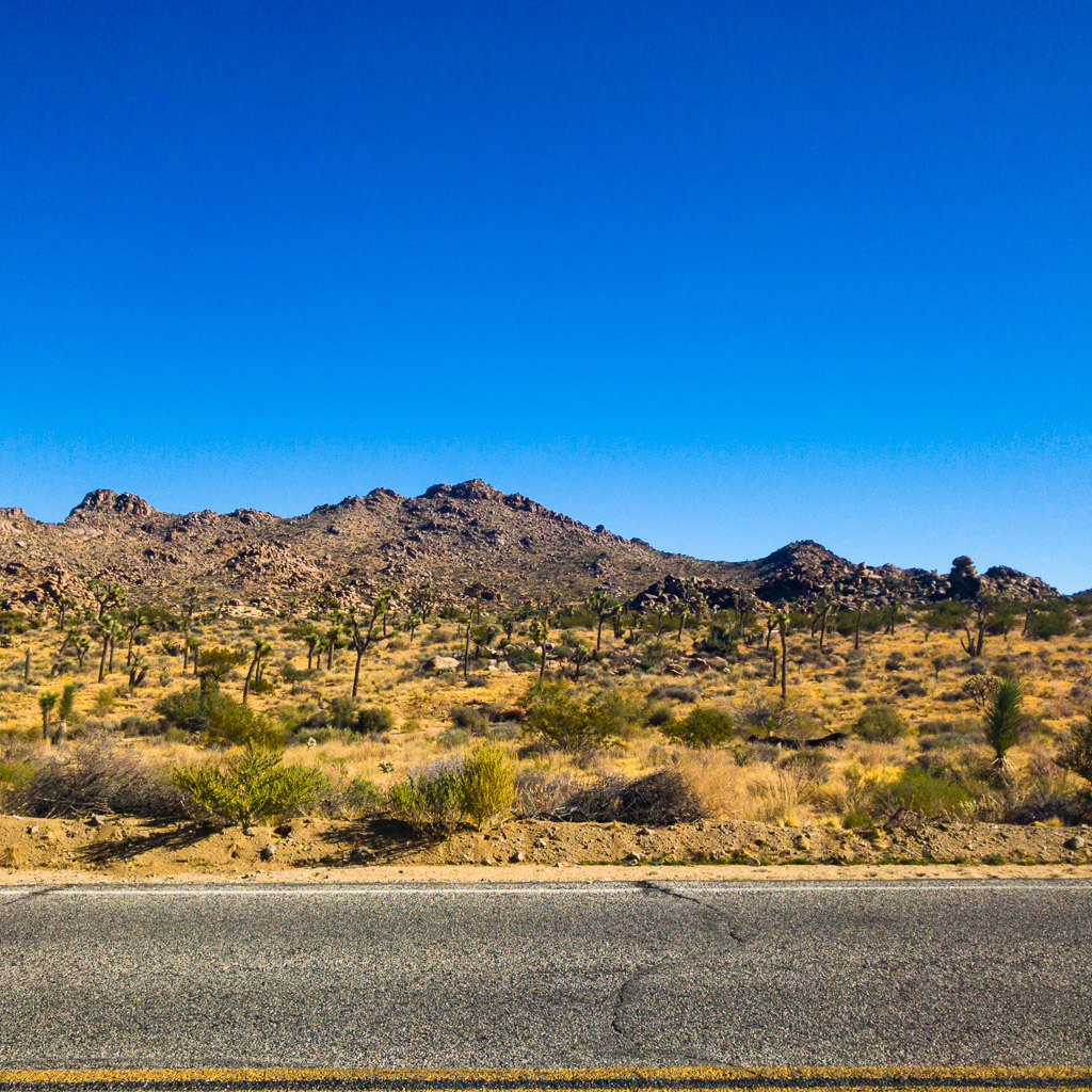 Joshua Tree National Park