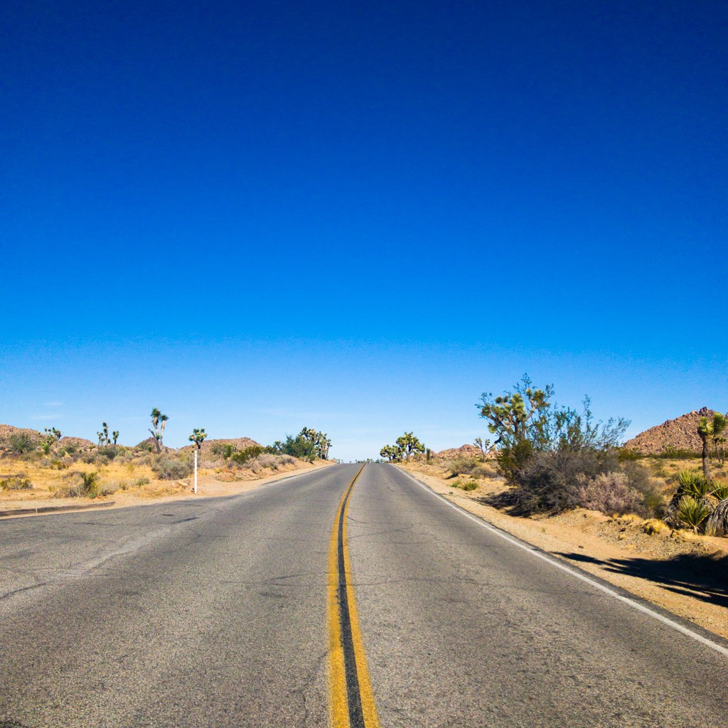 Joshua Tree National Park