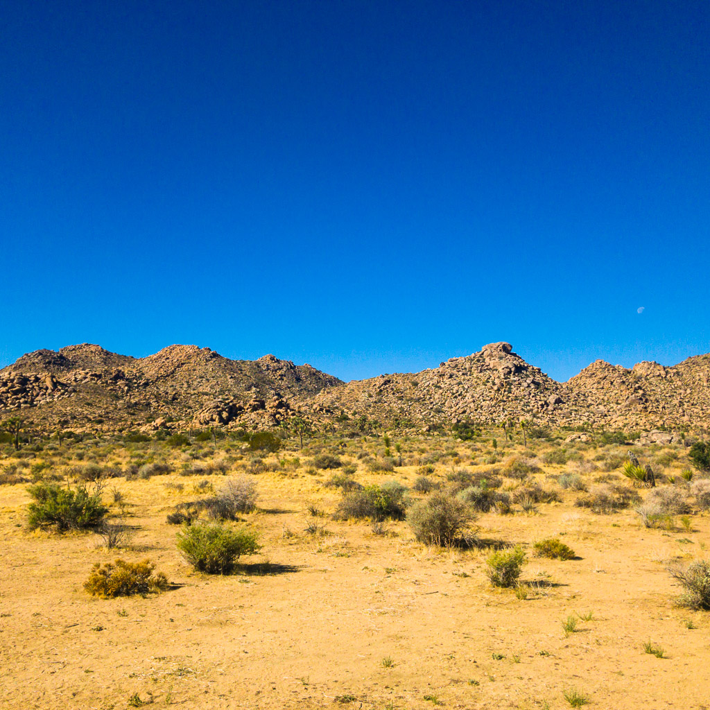 Joshua Tree National Park