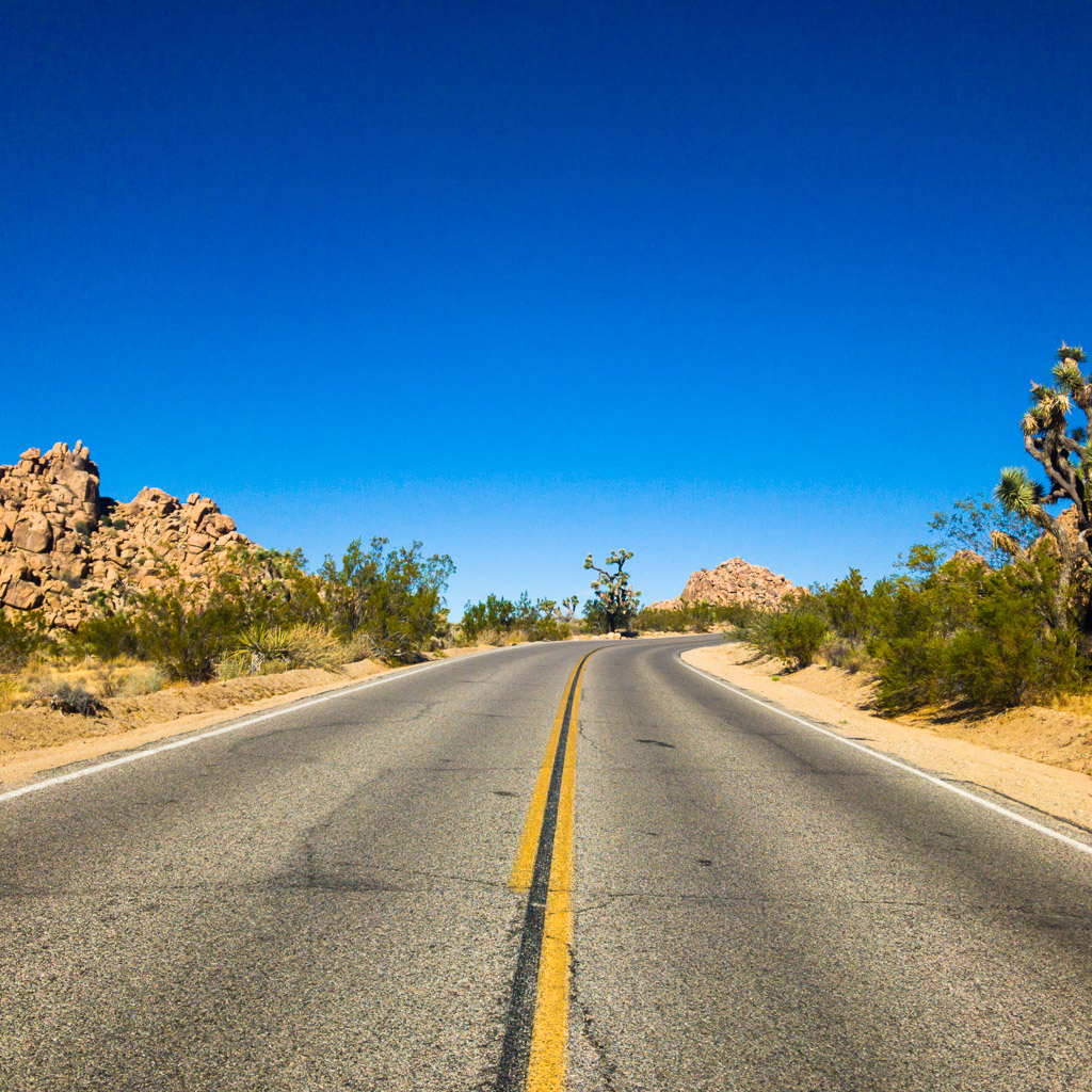 Joshua Tree National Park