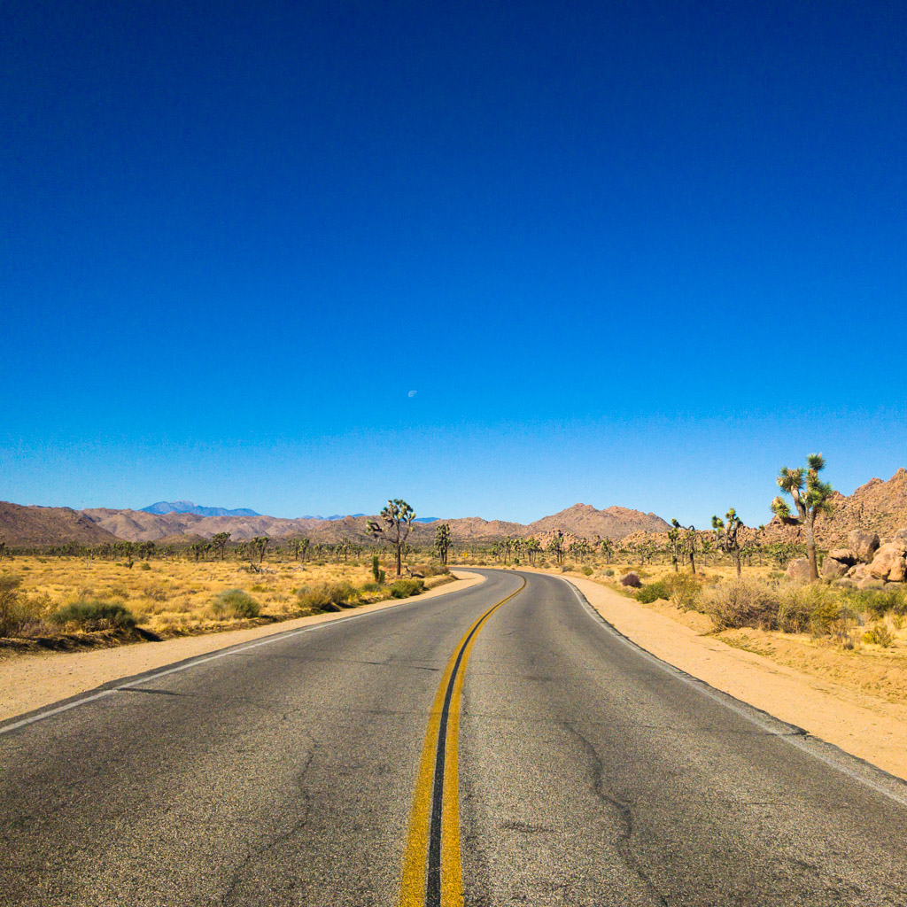 Joshua Tree National Park