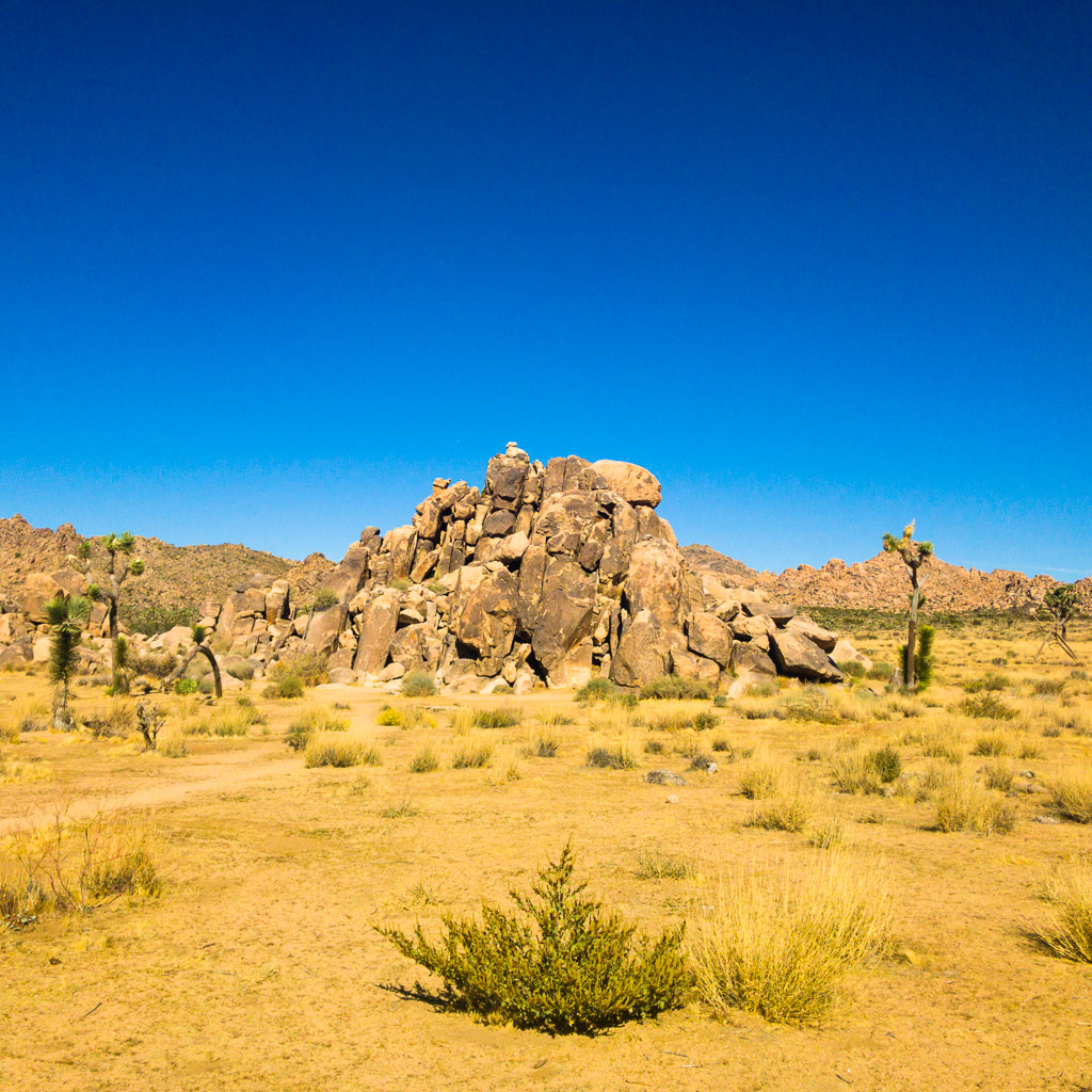 Joshua Tree National Park