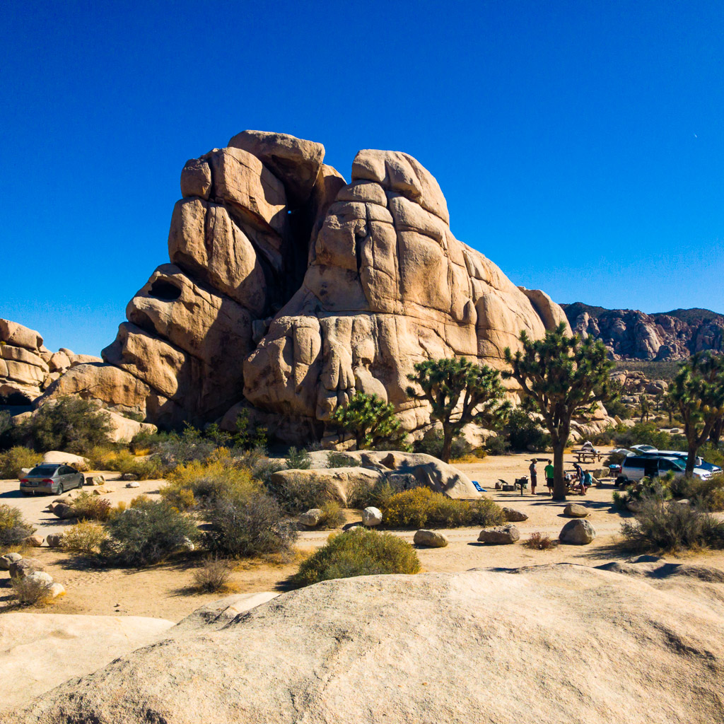 Joshua Tree National Park