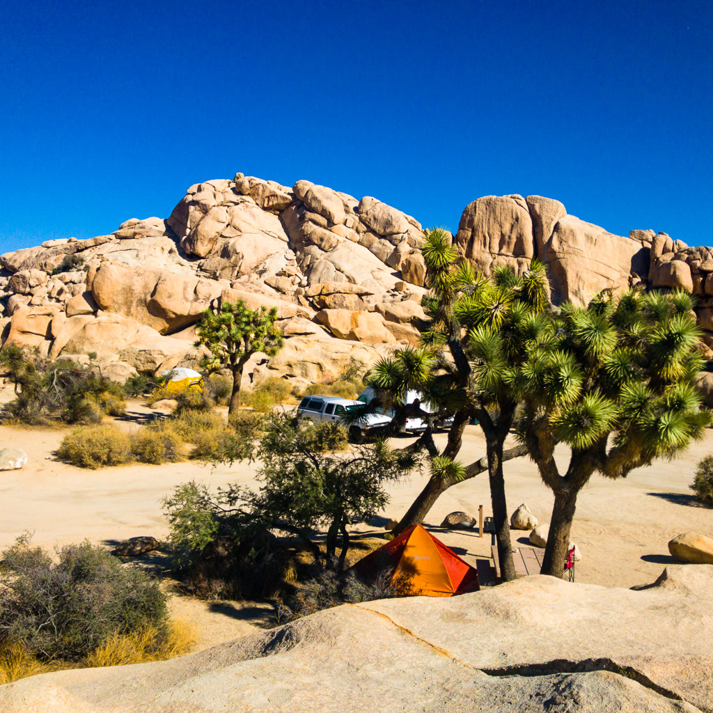 Joshua Tree National Park