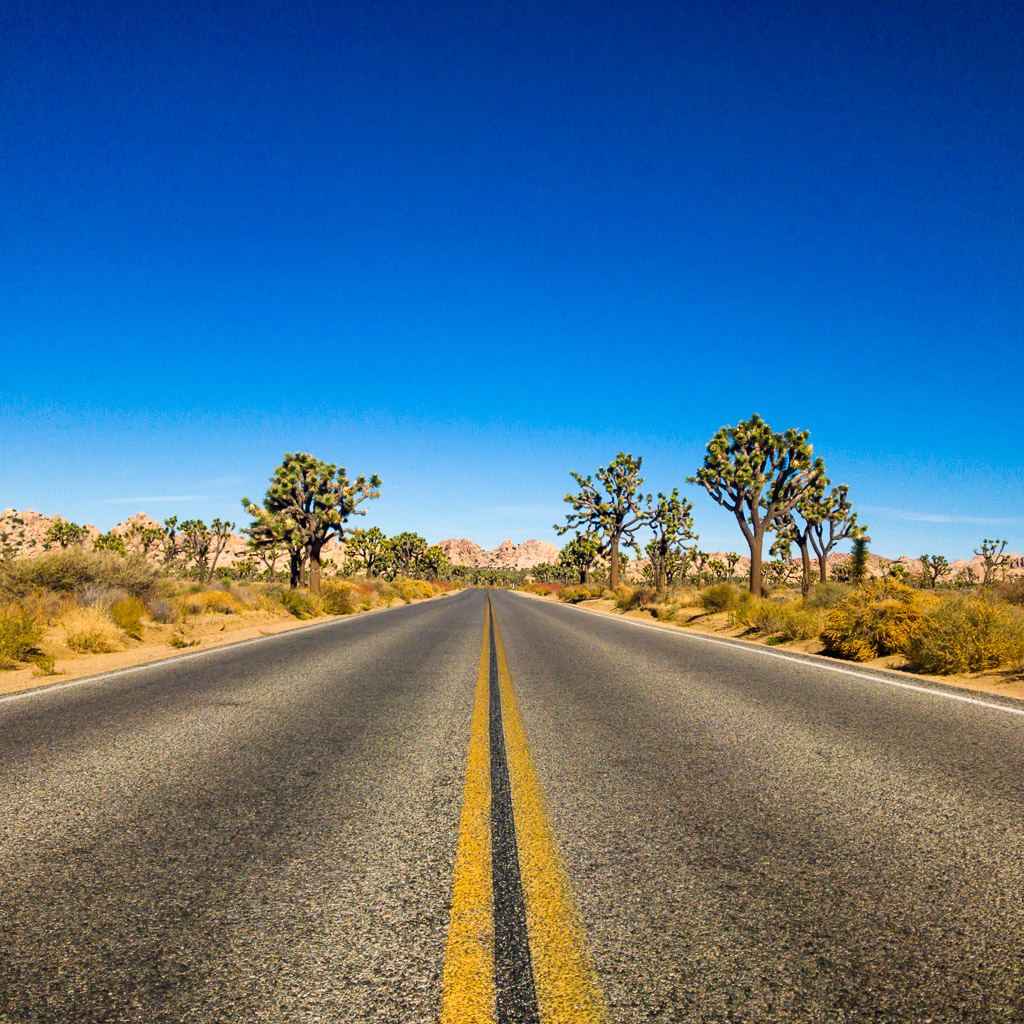 Joshua Tree National Park