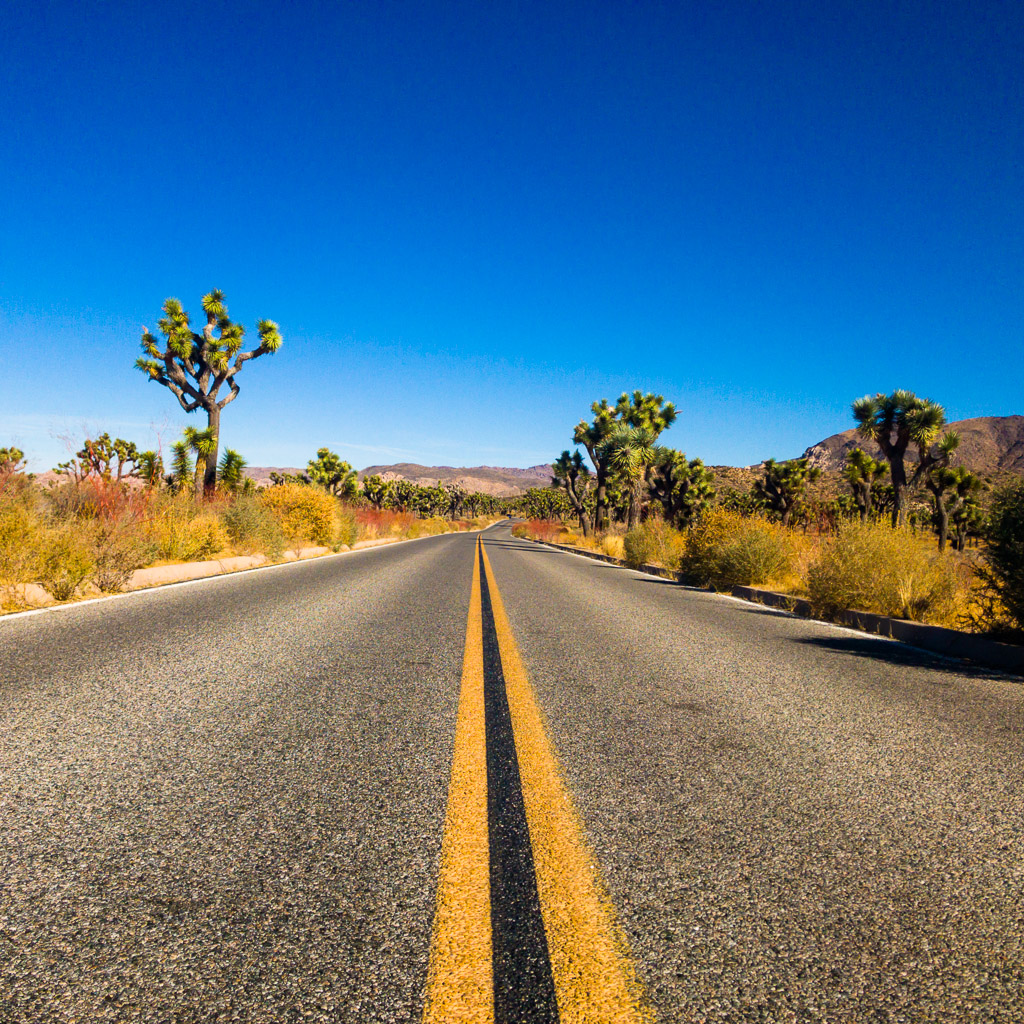 Joshua Tree National Park