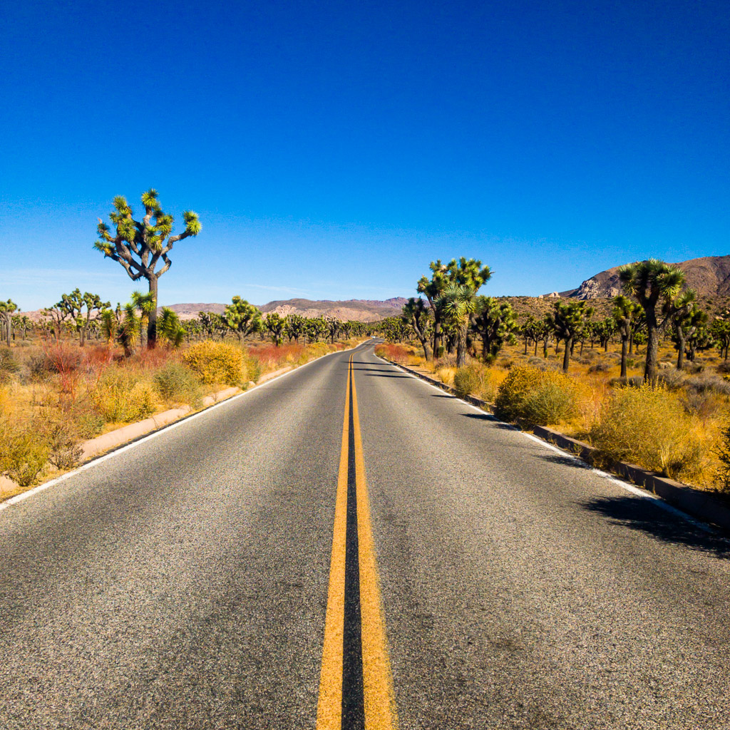 Joshua Tree National Park