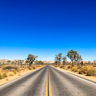 Joshua Tree National Park