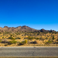 Joshua Tree National Park