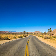 Joshua Tree National Park