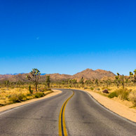 Joshua Tree National Park