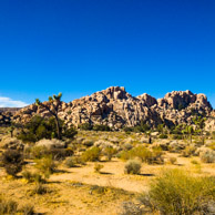 Joshua Tree National Park