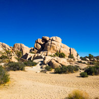 Joshua Tree National Park