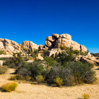 Joshua Tree National Park